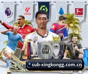 sub-xingkongg.com.cn APP